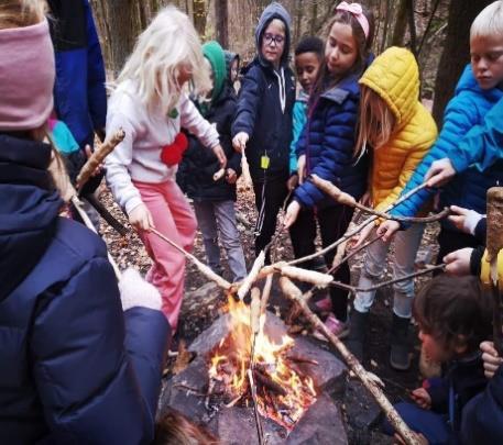 Villmark tar vi turen ut i skogen og inn i naturen.