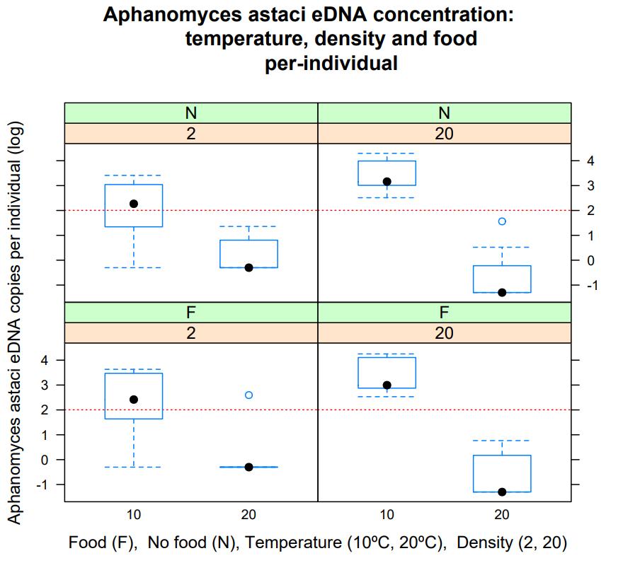 Figure 11. Aphanomyces astaci edna copies per individual. When the temperature is 20 C, almost no A. astaci edna were detected. Feeding and density has no significant impact on the number of A.