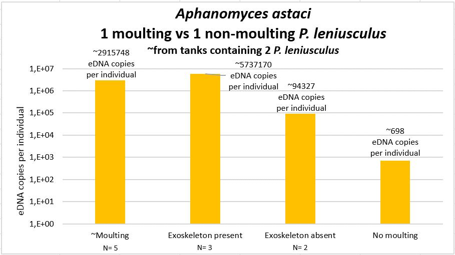 moulting P. leniusculus is kept in the tank together with its exoskeleton, 5737170 versus 94327 respectively (fig. 12). Figure 12.