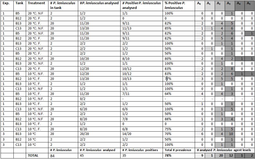 Table 5. Aphanomyces astaci agent levels in analysed individuals of Pacifastacus leniusculus that participated in multiple experimental tanks.