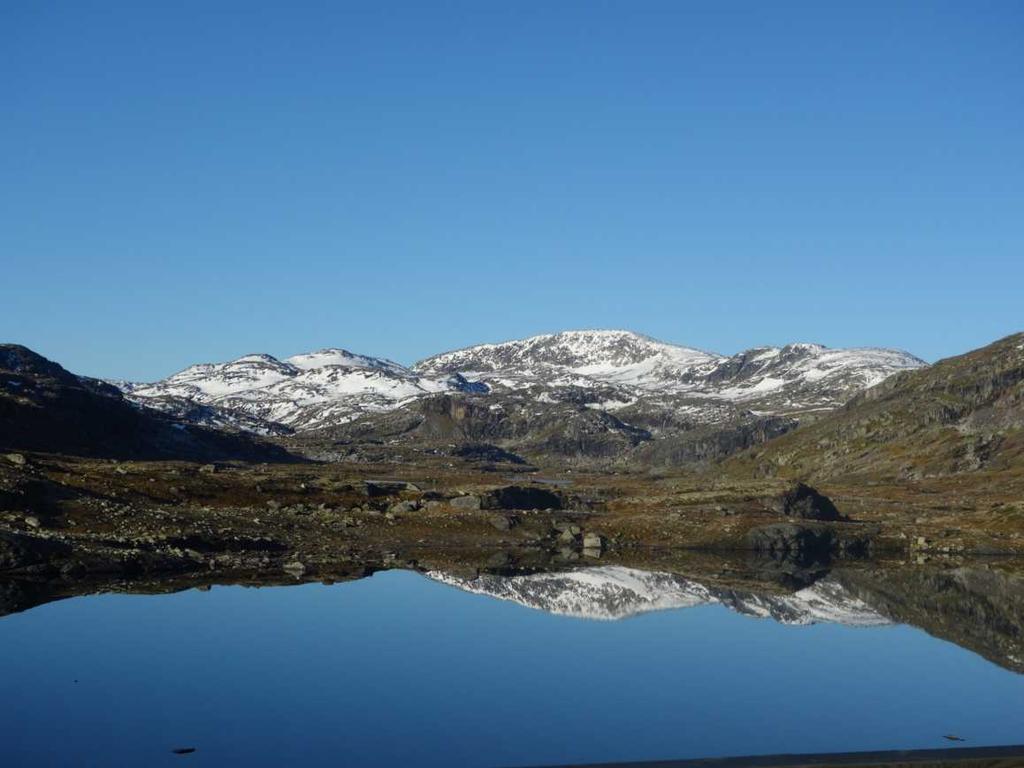 Tekst og foto: Vibeke Sælen Søndag ønsket oss God morgen med praktfullt vær, skyfri himmel, vindstille og 0 grader. Solen forgyllet fjellene, himmelen og vannet. Naturen kunne knapt bli vakrere.