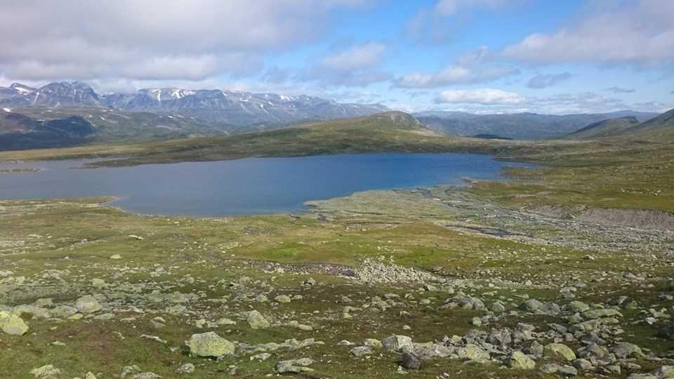 Fra Tomashelleren, over Dingla og videre ned til Yksendalen er det DNT merket rute. Den nye brua over Dingla står solid over elva og vil nok bli stående i mange år.