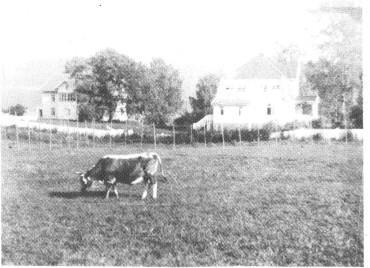 Når det gjelder en annen Nordraakslekt, slekta til Rikard Nordraak og Bjørnstjerne Bjørnson, kan det nevnes at denne ikke har noe med slekta på garden Nordraak å gjøre.