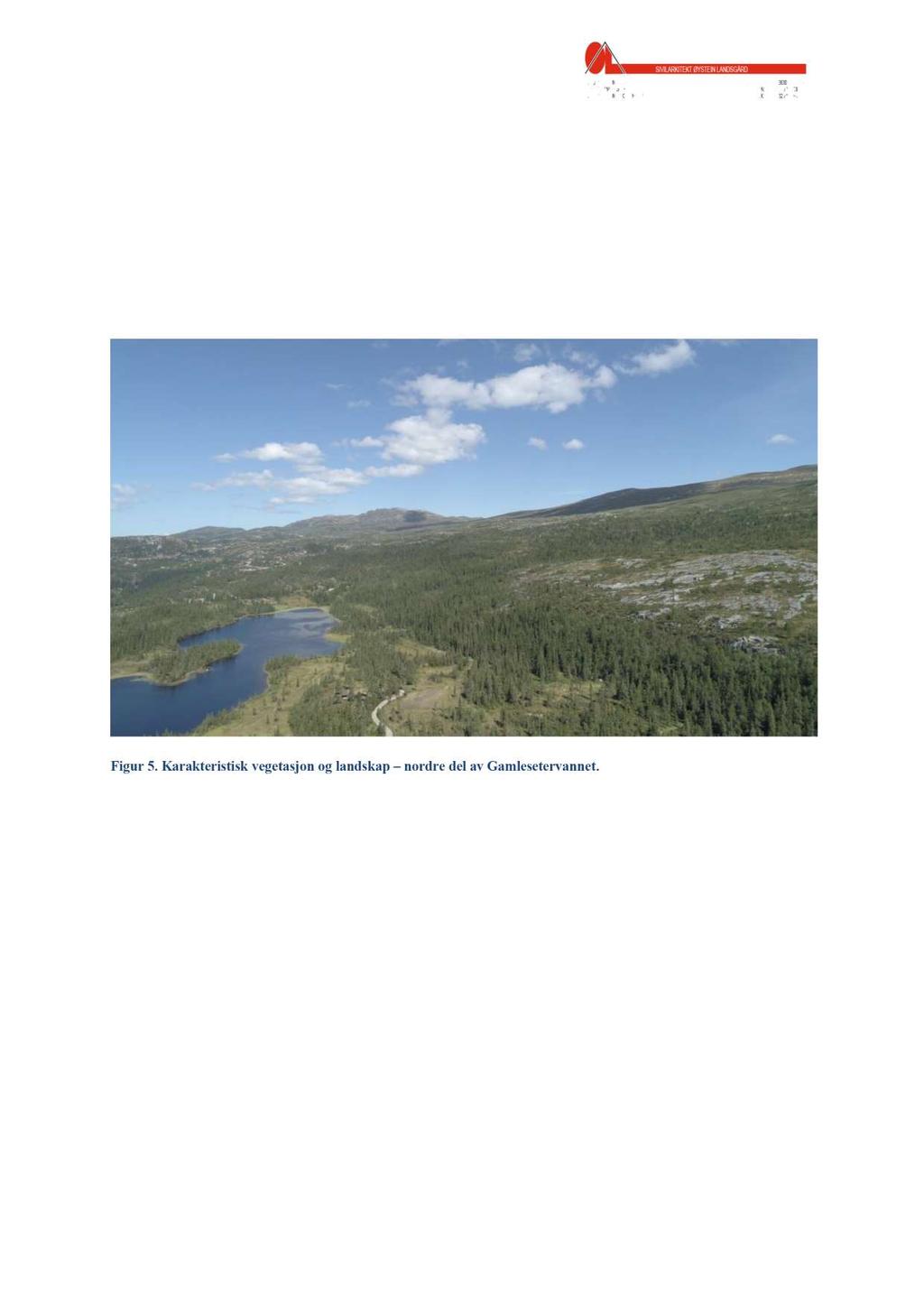 4.3 Landskap, geologi og vegetasjon I følge Norsk institutt for bioøkonomi (NIBIO) er planområdet en del av landskapsregionen «Fjellskogen i Sør - N orge» hvor vegetasjonen i hovedsak er gran, med