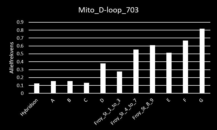 Figur 37. Frekvensen av én av to alleler i SNP-markøren Mito_D-Loop_703 i det mitokondrielle DNA i Namsblank fra åtte lokaliteter i Øvre Namsen og fra tre lokaliteter i sideelven Frøyningselva.