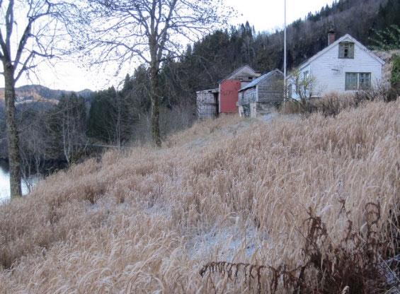 Føremålet med vernet er å gje sjøfuglane gode og trygge livsvilkår, og å ta vare på ein viktig hekkelokalitet for sjøfugl med naturleg tilhøyrande vegetasjon og dyreliv.