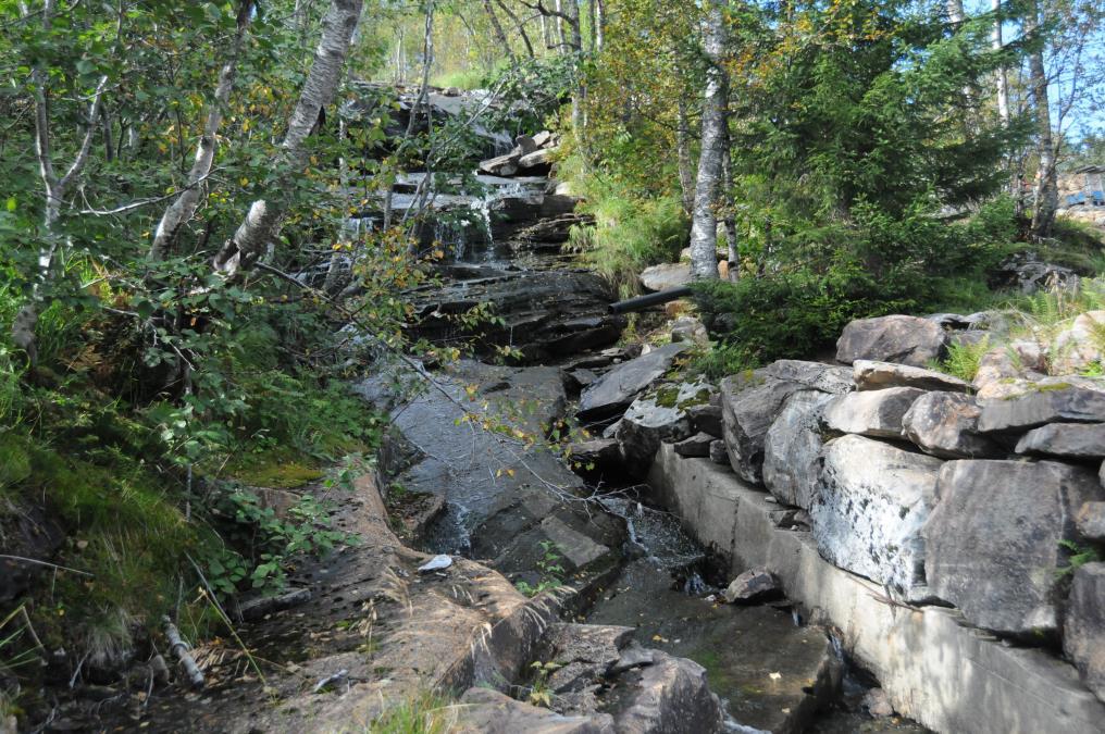 Resipientundersøkelse ved Kvamskogen Vassverk