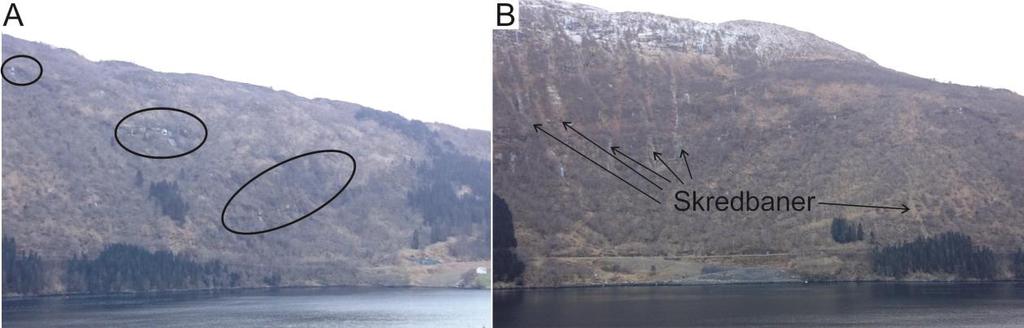 Figur 35: Figuren viser bilete som er tekne frå Laukeland på sørsida av Dalsfjorden. A: Biletet viser vestre deler av einingsstrekning 1.