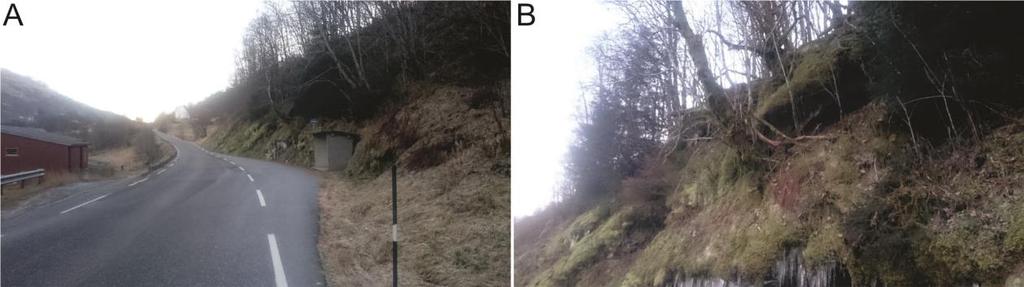 Figur 48: A: Bratt parti i bakkant av busshaldeplass. Dette er det einaste partiet der det er bratt heilt kloss i vegen langs denne strekninga.