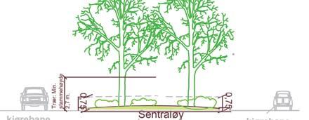 Søyletrær som holder seg utenfor vegens frie rom kan ha stammehøyde på 1 m, forutsatt at siktkravene i kryss overholdes.