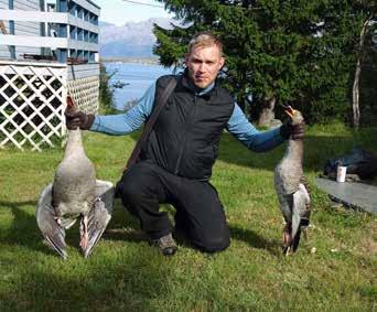 Ny leder i småviltutvalget Svein-Ove Bartlett, 34 år og bosatt i Harstad. Leder i småviltutvalget NJFF Troms. Epost: svenno84@gmail.