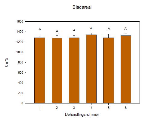 3.4 Bladareal Gjødseltilsetning: 1: 0 mg B + 0 mg Ca 2: 0 mg B + 1,0 g Ca 3: 0 mg B + 2,14 g Ca 4: 12,5 mg B + 0 g Ca 5: 12,5 mg B + 1,0 g Ca 6: 12,5 mg B + 2,14 g Ca Figur 10: Diagrammet viser