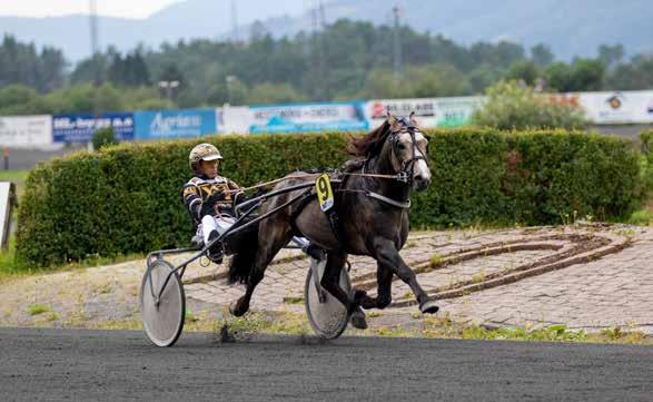 BERGEN TRAVPARK Torsdag 24. september Start 1. løp kl. 18.55 Nr.