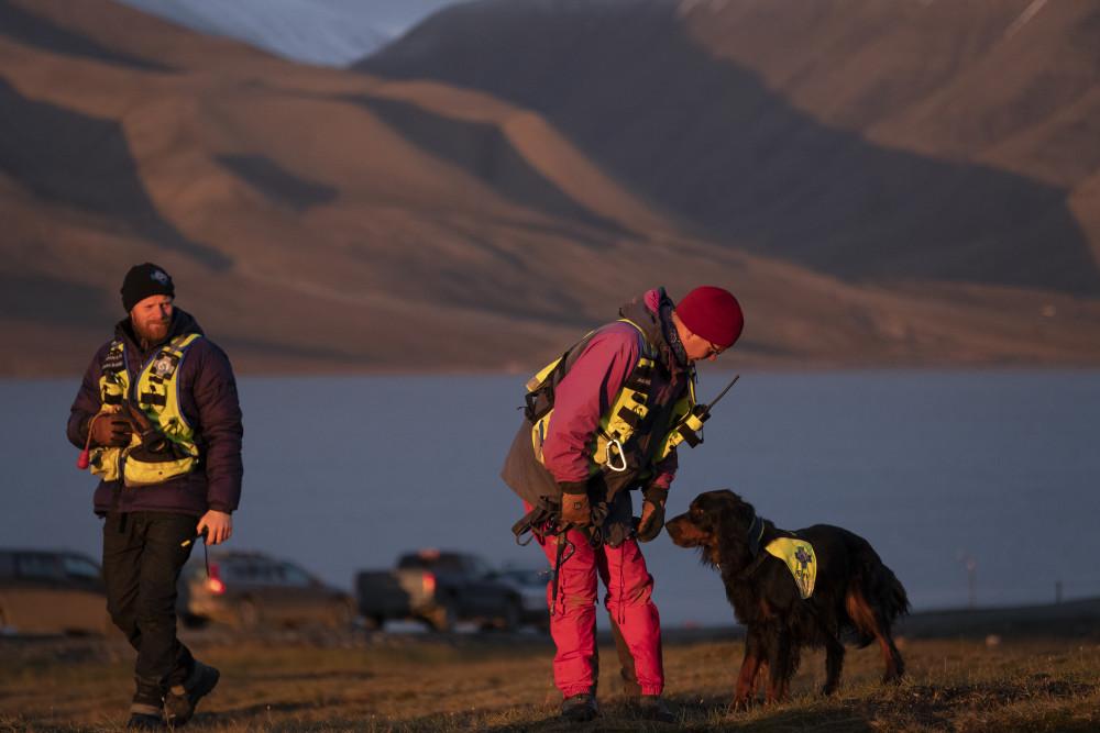 Norske redningshunder (Svalbard, Norge) Norske redningshunder er en frivillig organisasjon, og redningshundene på Svalbard er en viktig del av den lokale beredskapen.