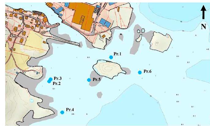 Rapport Forprosjekt Kalvåg fiskerihavn Side 33 av 67 4.12 Miljøtekniske undersøkelser Miljøgeologisk undersøkelse er foretatt av Multiconsult. Rapportnr.: 614109 002.