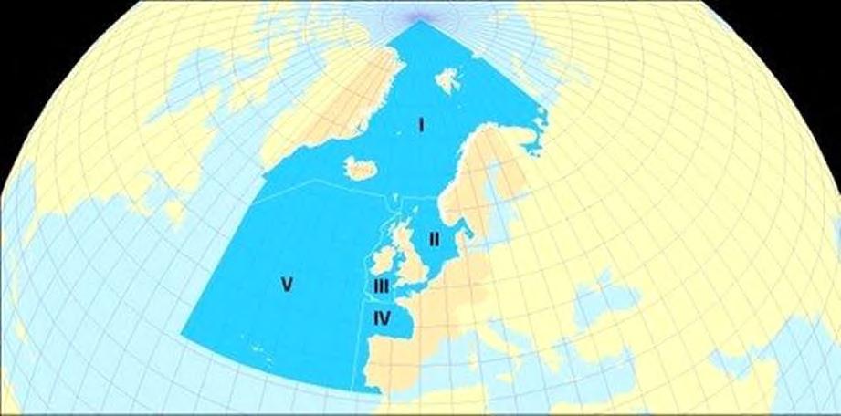 Rapport 2/2020 17 av marin natur både nasjonalt og internasjonalt. Tidligere har korallrevene, Fjellknausene og Tisler hatt status som marine beskyttede områder gjennom OSPAR.