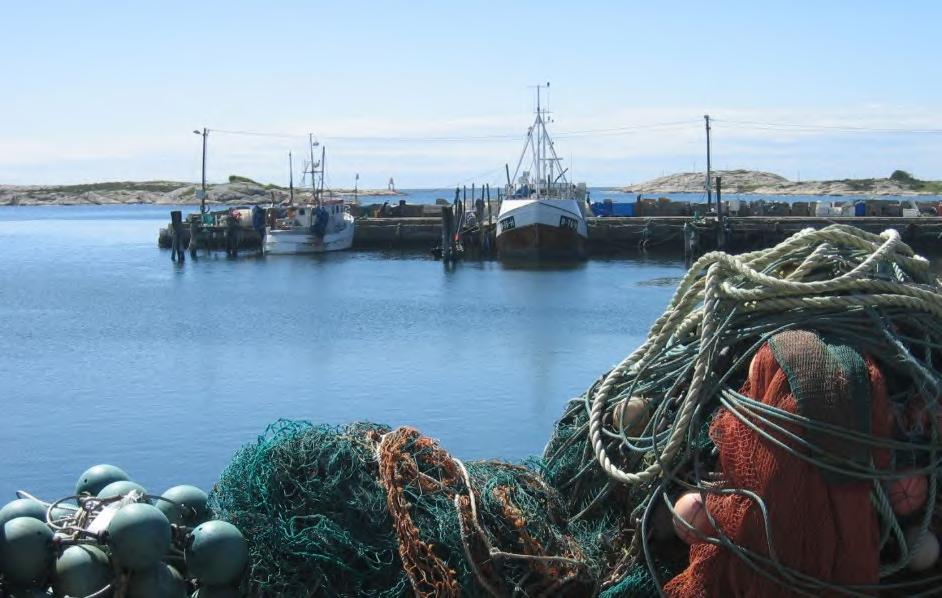 Rapport 2/2020 44 3 Brukerinteresser og andre påvirkningsfaktorer 3.1 Brukerinteresser Utgårdskilen fiskerihavn.
