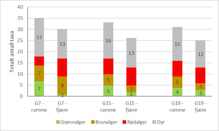 Figur 27. Antall registrerte taxa av grønnalger, brunalger, rødalger og dyr på de tre stasjonene hvor det ble utført både fjæresoneregistreringer og rammeregisteringer i 2019.