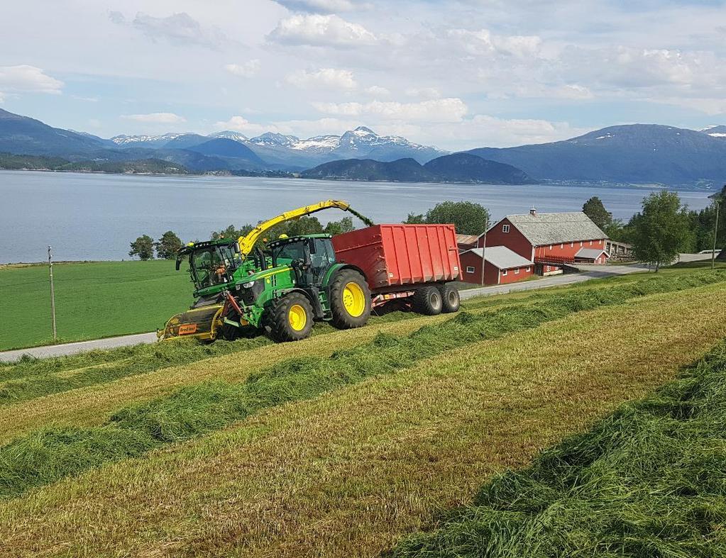 Norsk mat på norske fôrressurser Proteinvekster som kan erstatte soyaimport Bedre grovfôr