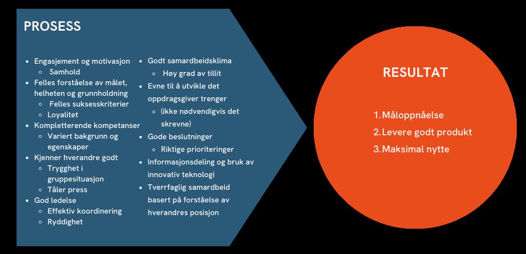 Kjennetegn på høyt presterende team Gjennom innsiktsarbeidet i utviklingsprogrammet spurte vi deltagerne i utviklingsprogrammet om de selv kunne beskrive høyt presterende team.