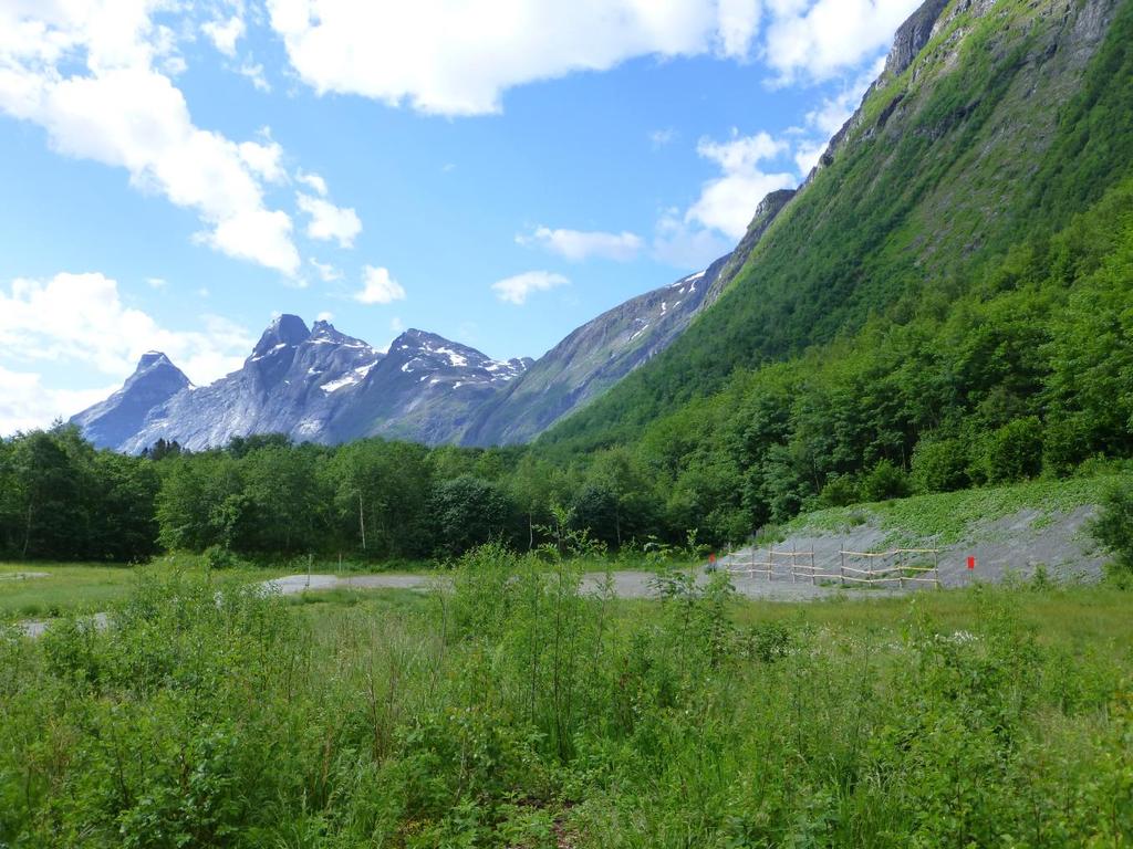 VURDERING ETTER NATURMANGFOLD- LOVEN FOR SETNESMOEN SKYTE- OG ØVINGSFELT