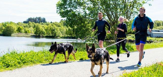 Turstien rundt Store Stokkavatn er 8,3 km lang og det er lys langs hele