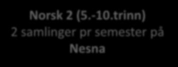 Hvert nye tema blir presentert med støtte i pensumlitteratur. Innføringene følges opp med praktiske oppgaver i egen undervisning/klasse under veiledning fra faglærer.