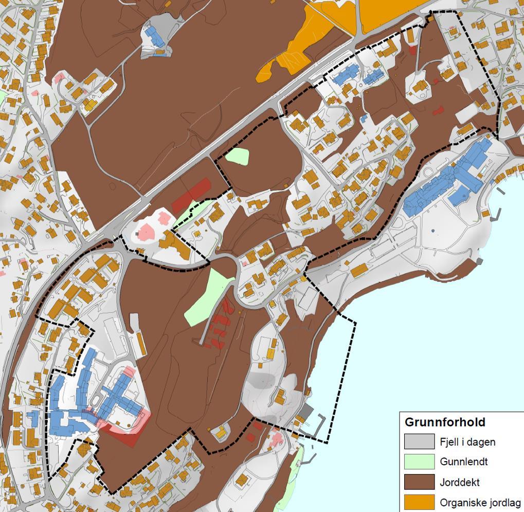 1 Bakgrunn Til oppstart av og ved tilbakemeldingar i planforum for områdeplanen på Hauge vart det presisert at naturmangfald i området må undersøkast.