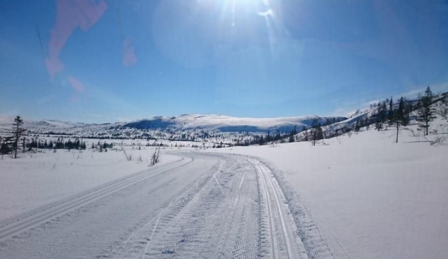 Vikaengene er Trøndelags Lengste sandstrand på 4 km.