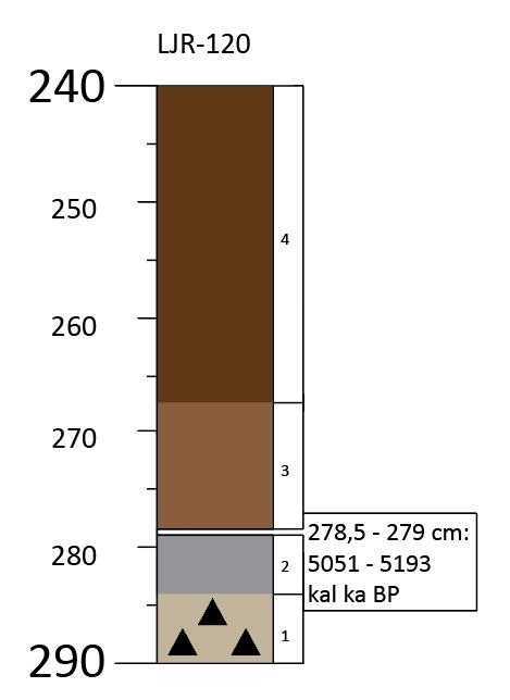 flomlagene i seksjonen. 113-130 cm: Seksjon med lyse sedimenter og et tydelig flomlag ved 121-120 cm (lysere i fargen). 113-96 cm: Siltig, mørk grå bakgrunn.