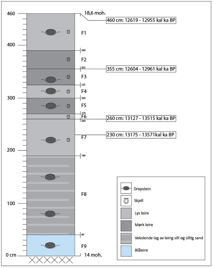 Figur 36:Sedimentlog av de nederste 460 cm av randavsetningen ved Renså med skjelldateringer.