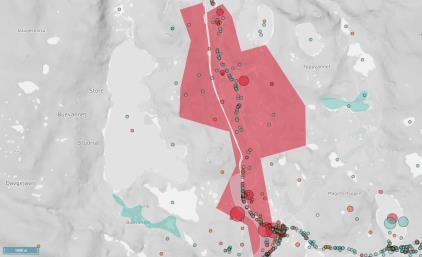 Makrellterne, brushane og alke er sterkt truede arter og er særegent for Berlevåg.