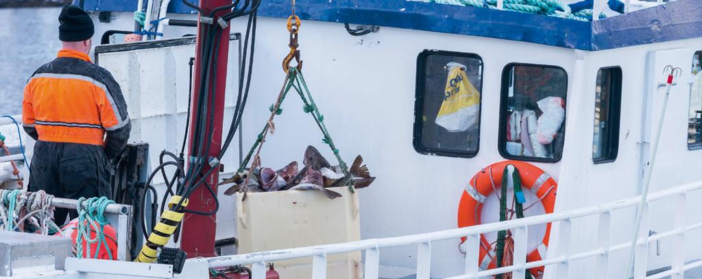 Nytt prosjekt Landing og innveiing av fiskefangster Høsten 2021 er det planlagt å starte opp et nytt internasjonalt prosjekt hvor det skal utvikles en standard for landing og innveiing av