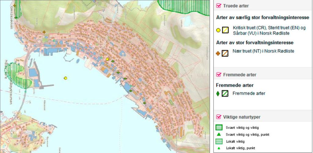 raudlisteart. Det er fleire observasjonar av arten i Måløy, til dømes var det registrert ca. 25 hekkande par på tre bygningar i sentrum i 2012. Dei seinare år har Krykkja hekka på Moldøen.