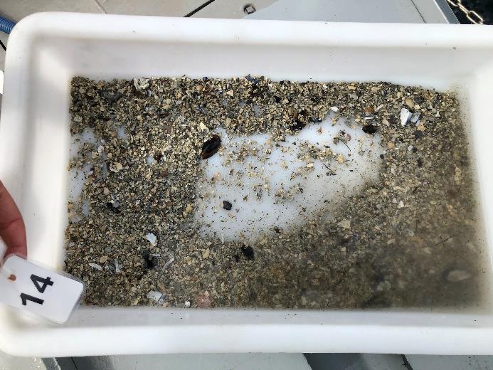 Sedimentet besto av sand og  193-5-21B
