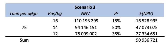 2 Scenario 2 Figur 9-6: Scenario 2 Basert på scenario 2 vil opsjonen tilføre prosjektet en netto