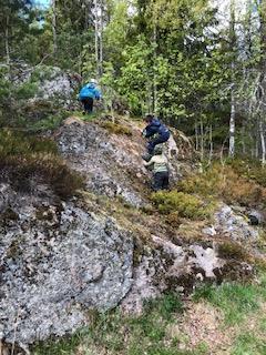 Gjennom ulike kompetansetiltak kan de ansatte styrke sin kompetanse og pedagogiske praksis i tråd med rammeplanen