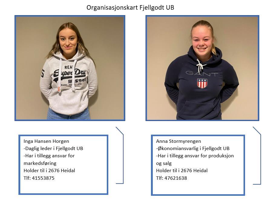 4.0 Organisering og nettverk Figur 3 Private bilder 4.