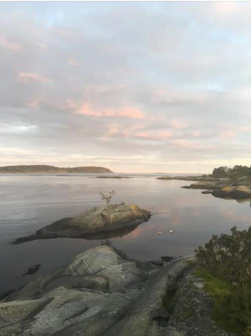 det avtales særskilt avgift for bruk av veien i andre sammenhenger. 12.