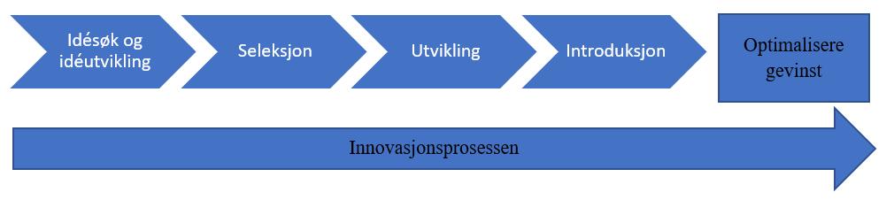 Innovasjonslitteraturen innenfor organisasjonsteori beskriver overordnet to ulike forståelser av innovasjonsprosesser.