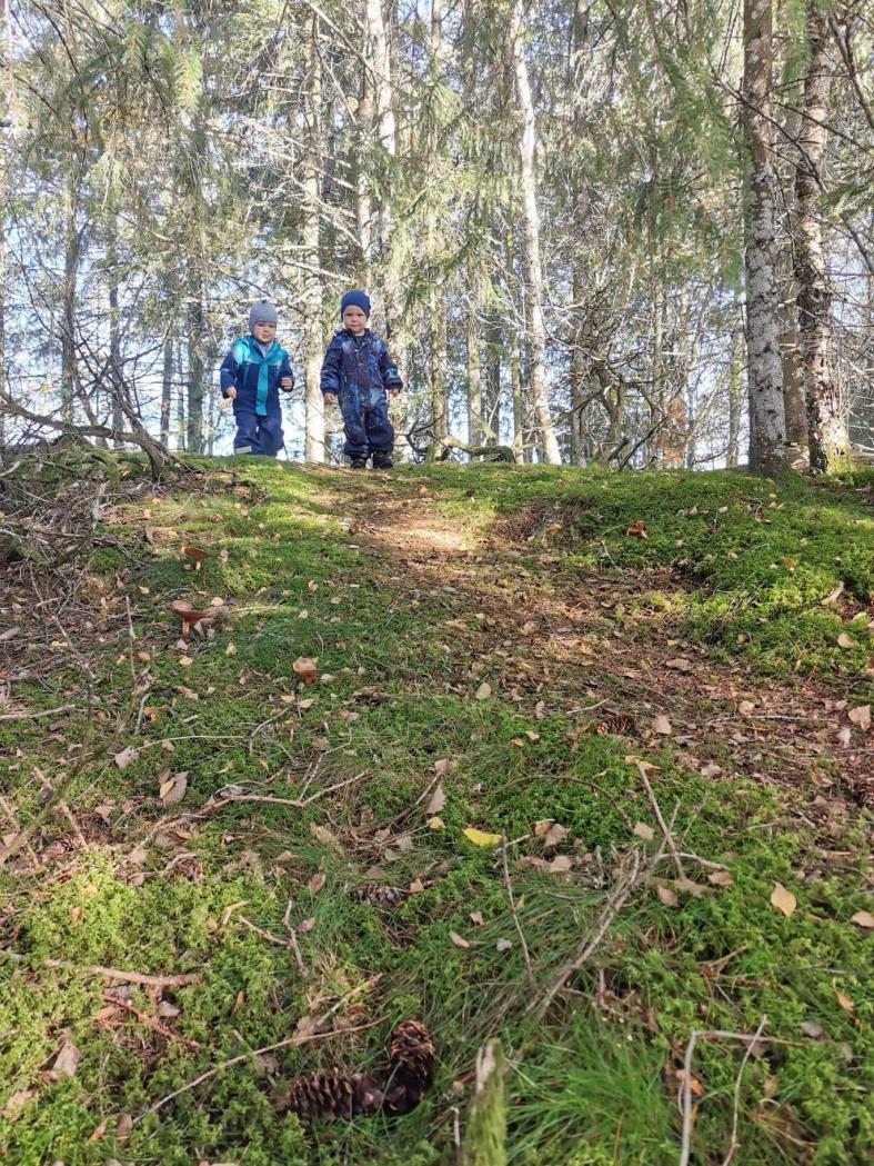 kan dessuten bidra til utjevning av sosiale forskjeller i fysisk aktivitetsgrad, dersom en setter inn tiltak som også når de barna som i utgangspunktet er lite fysisk aktive (Sandvik & Kippe, 2021).