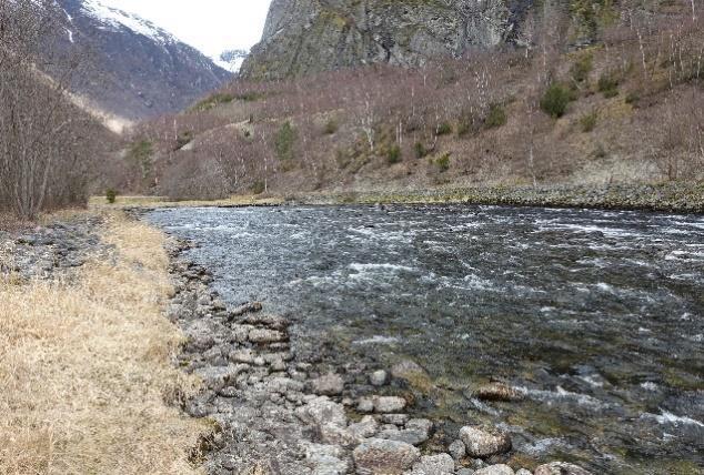 nedstrøms Sjurhaugfoss (med strømmen)