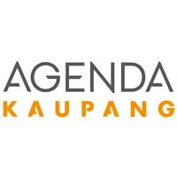 Historikk og politiske vedtak Agenda Kaupang leverte i januar 2017 «Situasjonsrapport helse og omsorg» til Mandal kommune Rapporten førte til følgende vedtak i Mandal Bystyre 20.04.