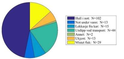 Hull og not under vann: 92% av rømt fisk Lekkasje fra kar og utslipp ved transport Annet, ukjent og mistet fisk Figur: Direkte årsak