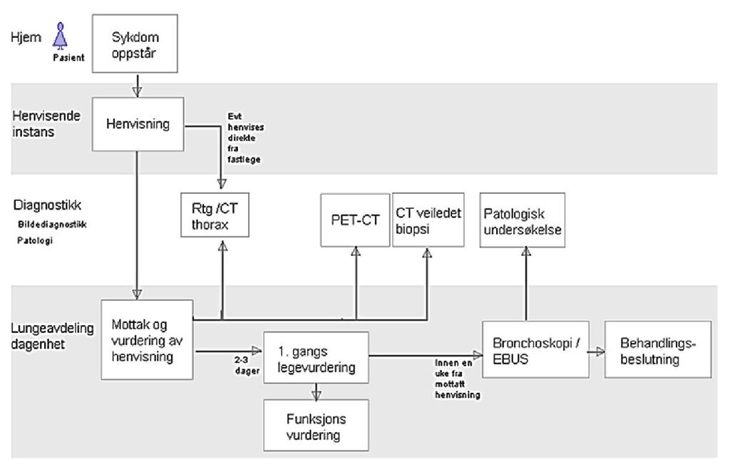 Figure 3 Clinical pathway for lung cancer diagnostic workup 2.7.