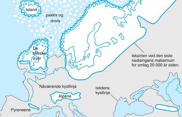 K a p i t t e l W e i c h s e l - i s t i d Det skandinaviske isdekket hadde større utstrekning enn de andre i Europa på denne tiden Illustrasjon: Store Norske Leksikon https://snl.