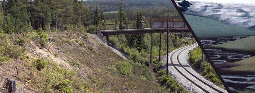 Fragmentet av et reingevir funnet i Ullensaker på Romerike er blant de eldste funn av rein i Norge.