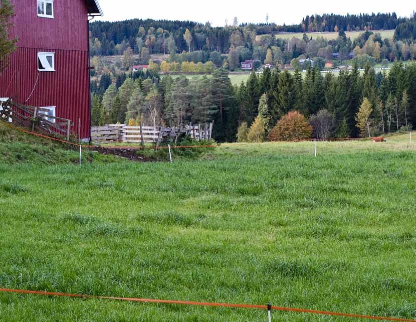 W e i c h s e l - i s t i d K a p i t t e l 2 l i n j e r m e d s i t a t e r o g a n d re t o p p t e ks t e r Markeringen viser stedet på garden Dalseng hvor brønnen ble gravd ut i 1979.