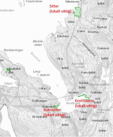 Like nord for planområdet er det lokalt viktig DN-håndbok 13 naturtype «Sitter» (strandeng og strandsump).