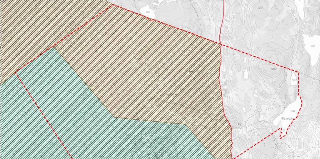 Figur 5: Utsnittet viser villreinsone/fjellsone i øst, brun skravur er LNF-spredt fritidsbebyggelse og grønn skravur er